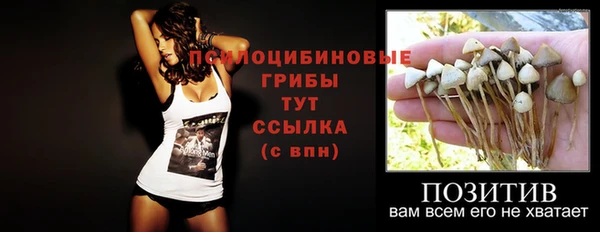 прущие грибы Арсеньев