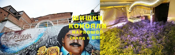 круглые Аркадак