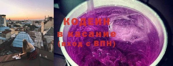 прущие грибы Арсеньев